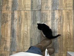 -八风爆肚面(海亮新英里店)