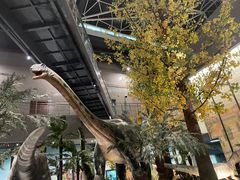 -湖南省地质博物馆