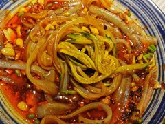 -雲蜀龙阁·金牌水煮鱼(方庄店)