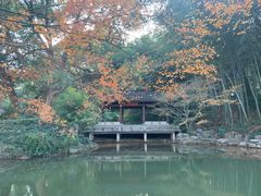 -杭州植物园