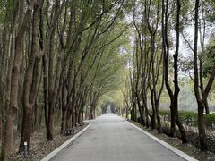 -同里国家湿地公园