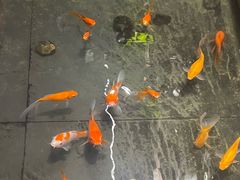 -二姐家三个拿手菜·北塘海鲜·大馅锅贴王(成林道店)