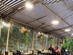 -菌窝子野生菌火锅(学府路店)