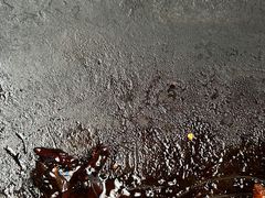 -皖北巫氏三胖地锅鸡(长淮总店)