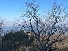 -巢湖姥山岛