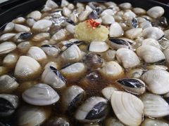 -顺德哥卜卜贝(旗舰店)