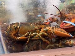 -王庄阿咪海鲜大排档(上下杭店)
