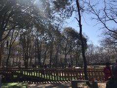 -WeLope紫金山探险公园