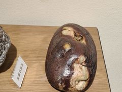 -中国茶叶博物馆(双峰馆区)