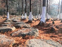 -南京市无想山景区