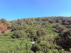 -缥缈峰景区