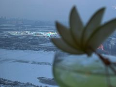 -大堂酒廊·富力丽思卡尔顿酒店