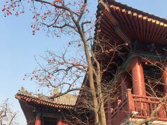 -西安华清御汤酒店