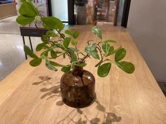 -代数学家algebraist(诚品店)