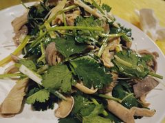 -鲤鱼塘农家山庄