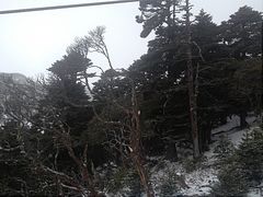 -石卡雪山