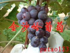 -大泽山风景名胜区