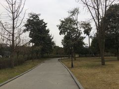 -成都南湖公园