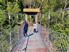 -海南热带雨林国家公园吊罗山景区