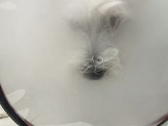 -伟伟宠物医院·CT影像中心·瑞派犬猫综合性门诊(汉口总院)
