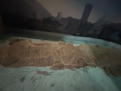 -白鹤梁水下博物馆