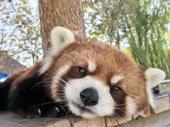 -水上乐园·欢乐世界