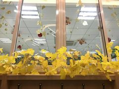 -协和双语学校(虹桥校区)