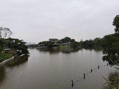 -江心屿景区