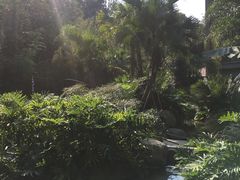 -汇雅温泉
