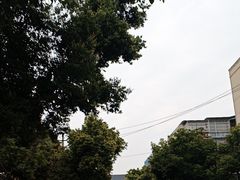 -老黄记手撕烤兔(玉林街店)