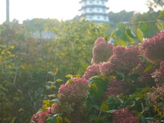 -萨尔浒风景区