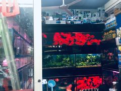 -万商花鸟市场