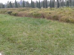 -秦始皇帝陵博物院-丽山园