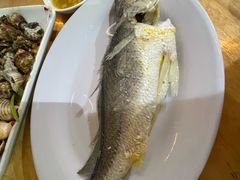 -桂园白粥·潮汕老味道