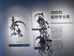 -安仁古镇