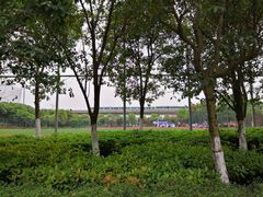 -九里河湿地公园