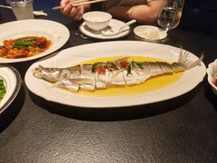 -茶人村·前滩江景雅宴(上海首店)