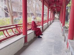 -龙潭水乡