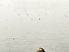-西湖游船