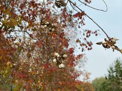 -同济大学(嘉定校区)