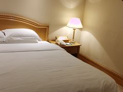 -南京维景国际大酒店(南京博物院店)