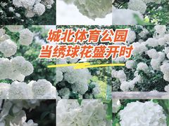 -杭州城北体育公园