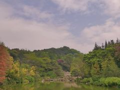 -云溪植物园
