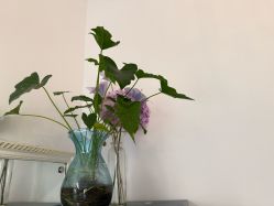 -香秀空间科技抗衰·美容中心