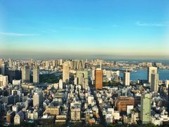 -东京塔海贼王主题公园