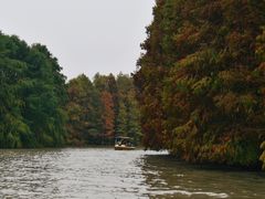 -上海海湾国家森林公园