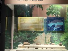 -辽宁古生物博物馆