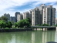 -光明港公园