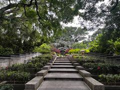 -九龙公园