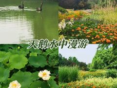 -海淀公园